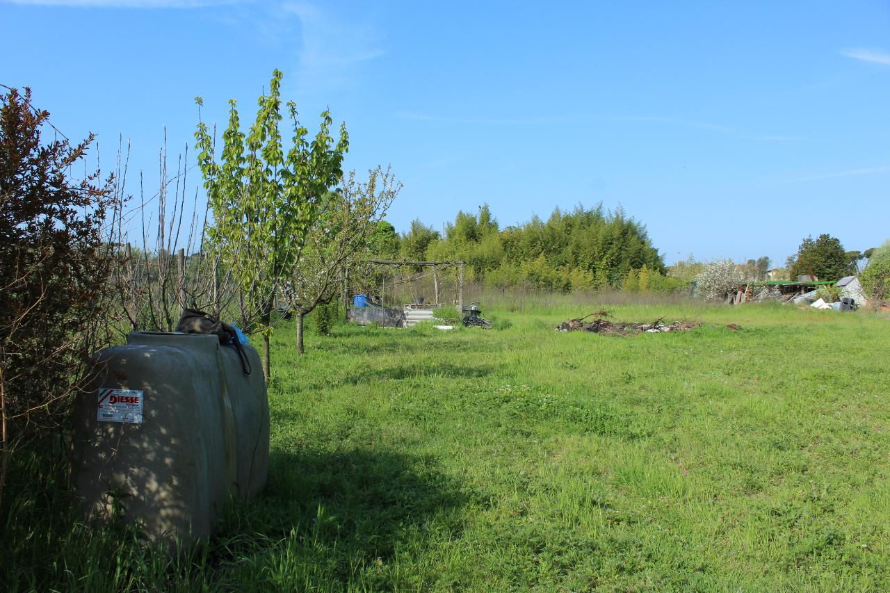 immagine annuncio 5 di 6