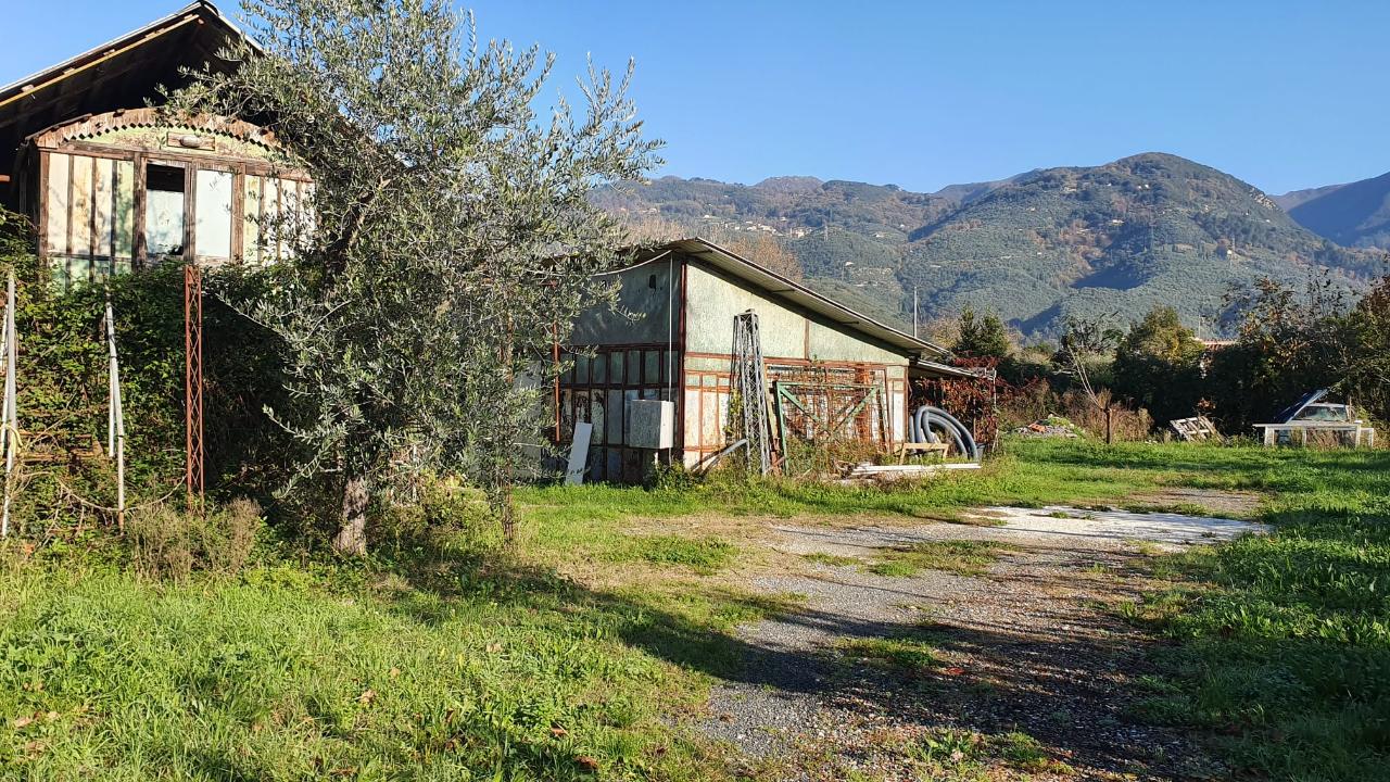 immagine annuncio 2 di 7