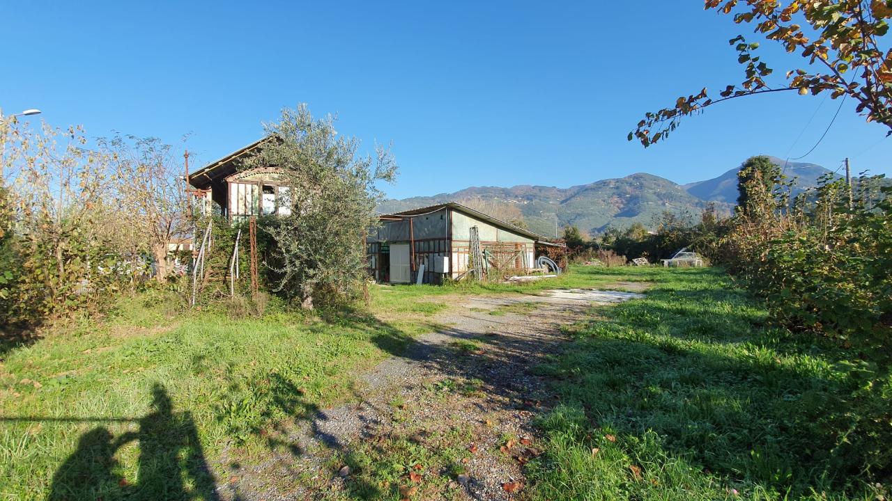 immagine annuncio 4 di 7