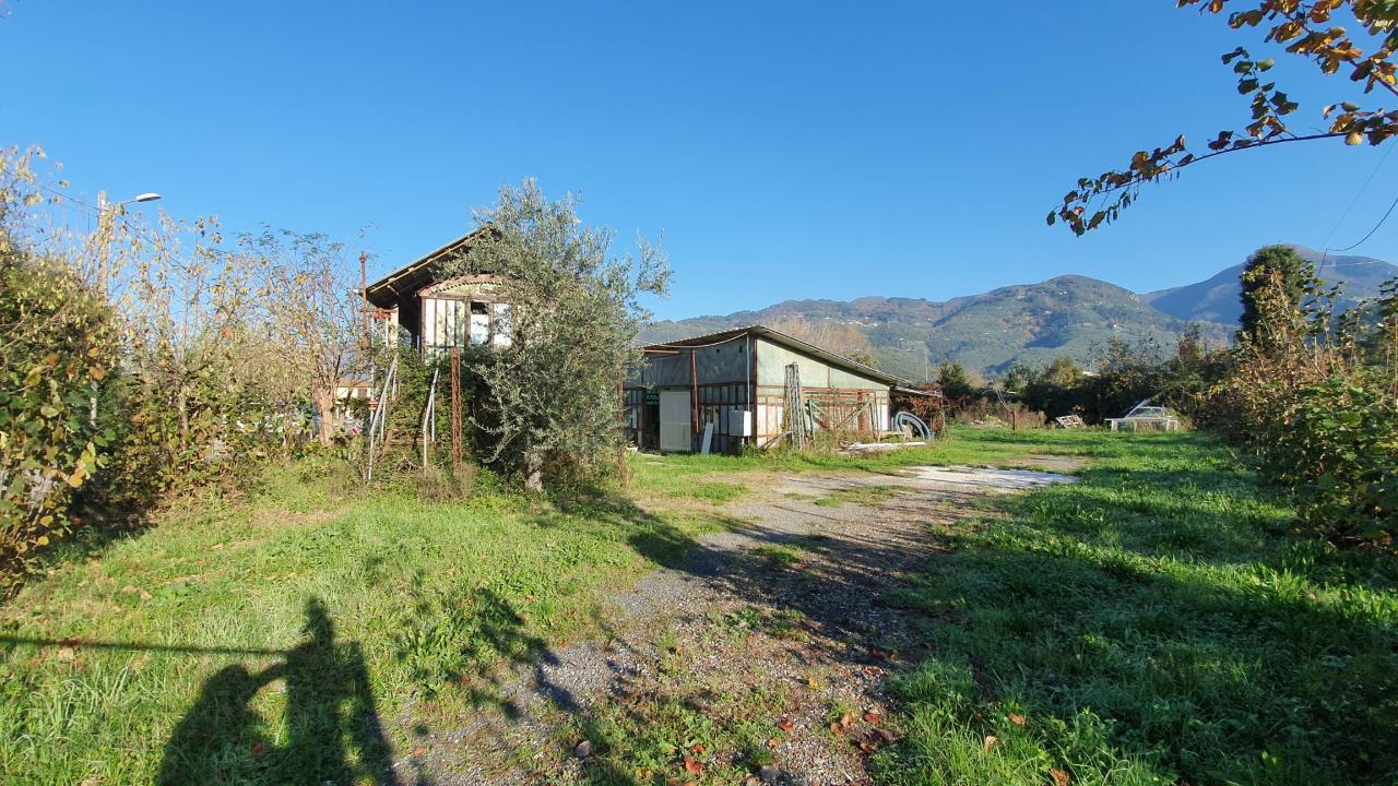 immagine annuncio 3 di 7