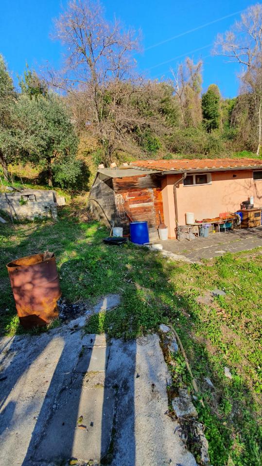 immagine annuncio 5 di 12