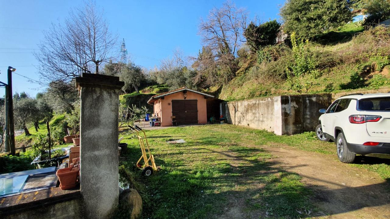 immagine annuncio 2 di 12
