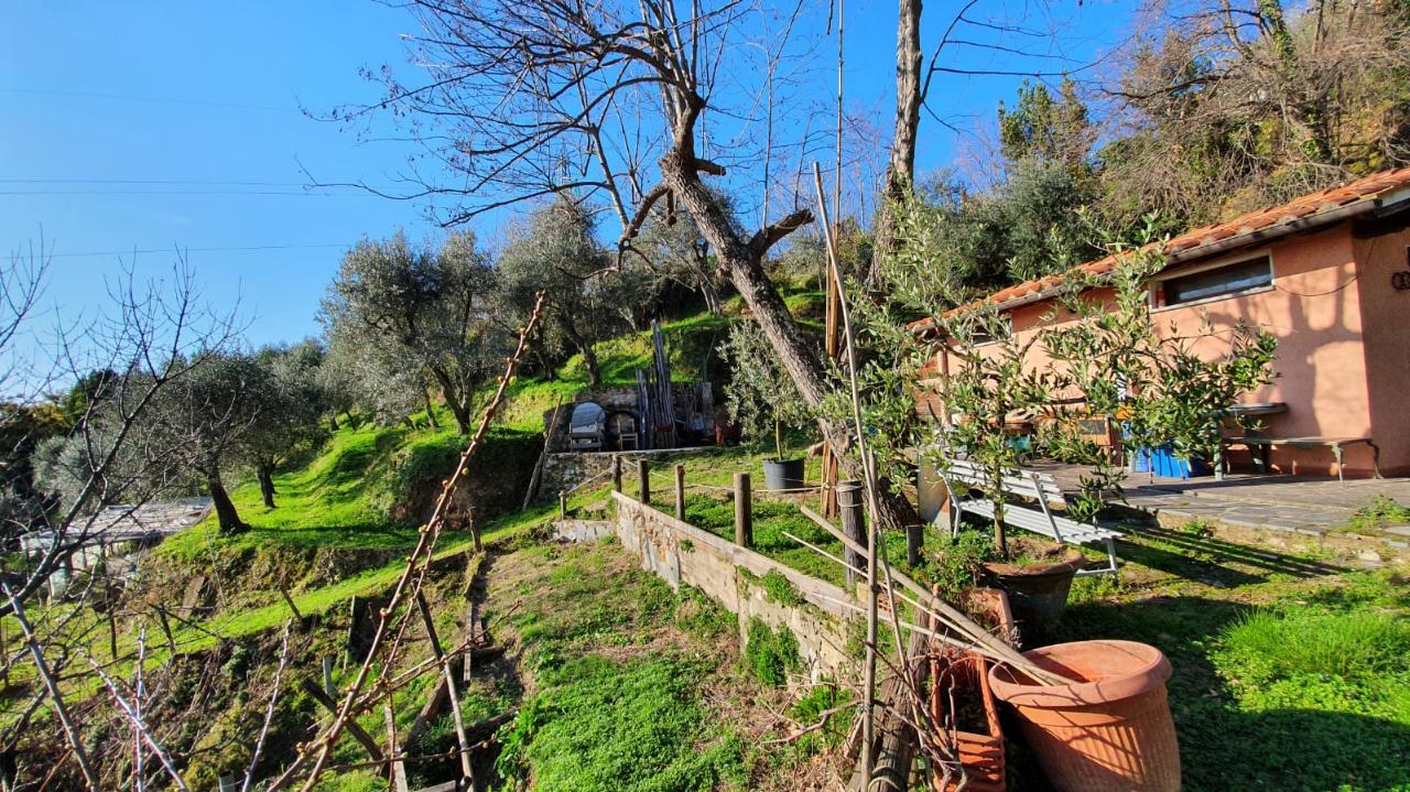 immagine annuncio 8 di 12