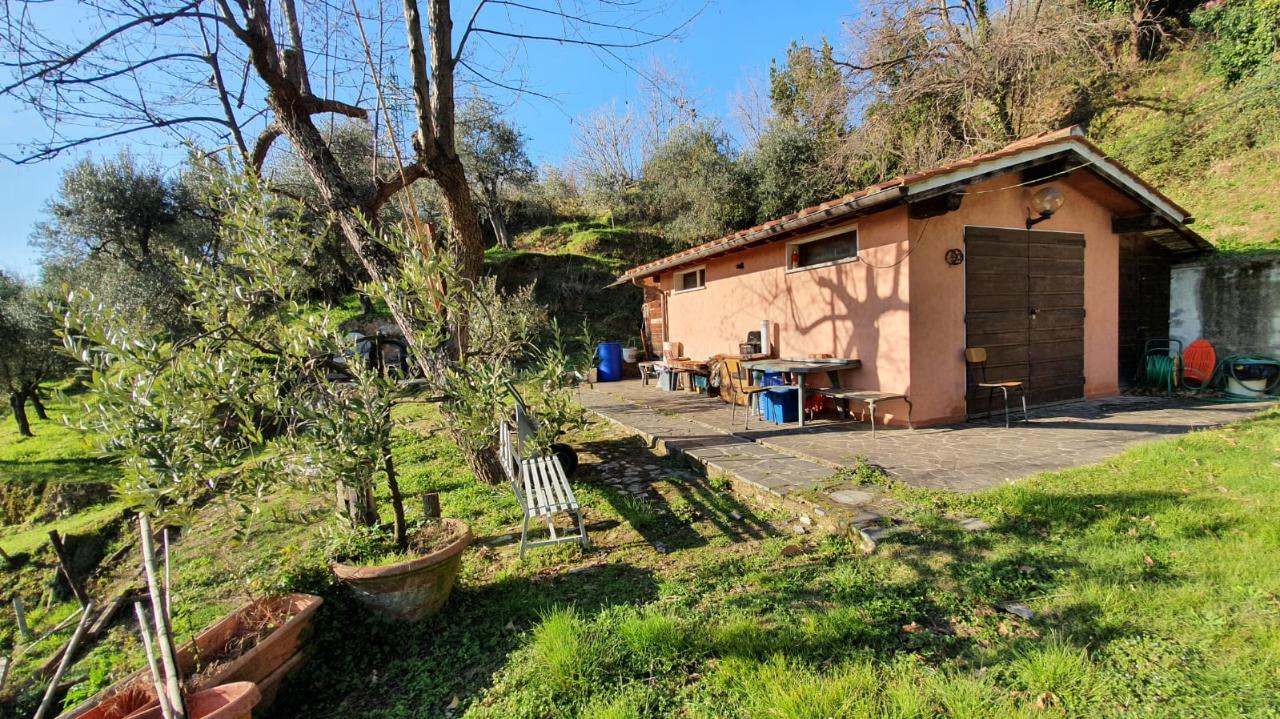 immagine annuncio 10 di 12