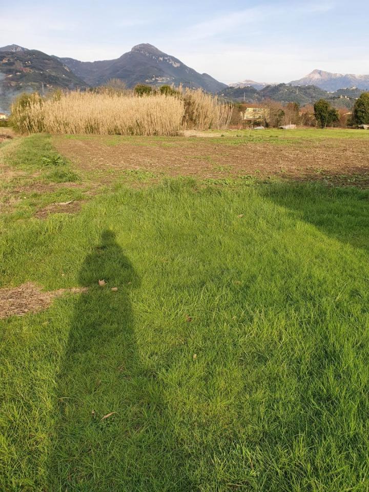 immagine annuncio 1 di 2