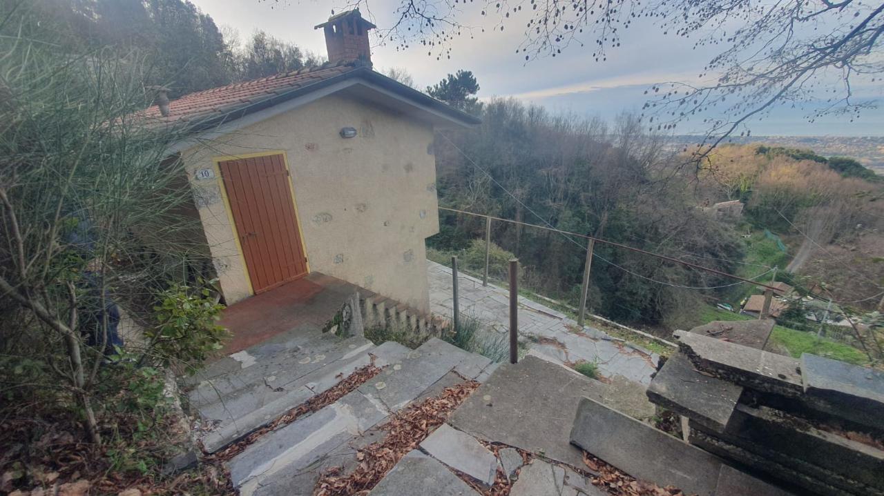 immagine annuncio 6 di 14