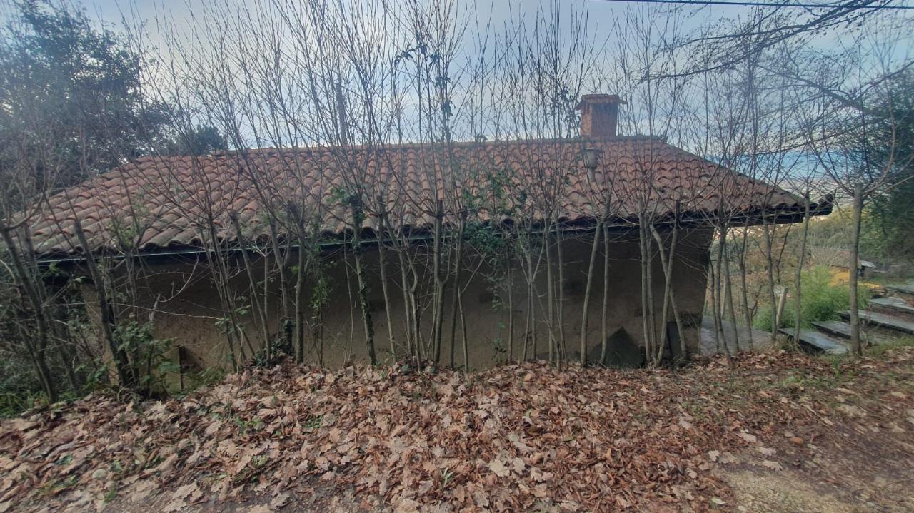 immagine annuncio 7 di 14