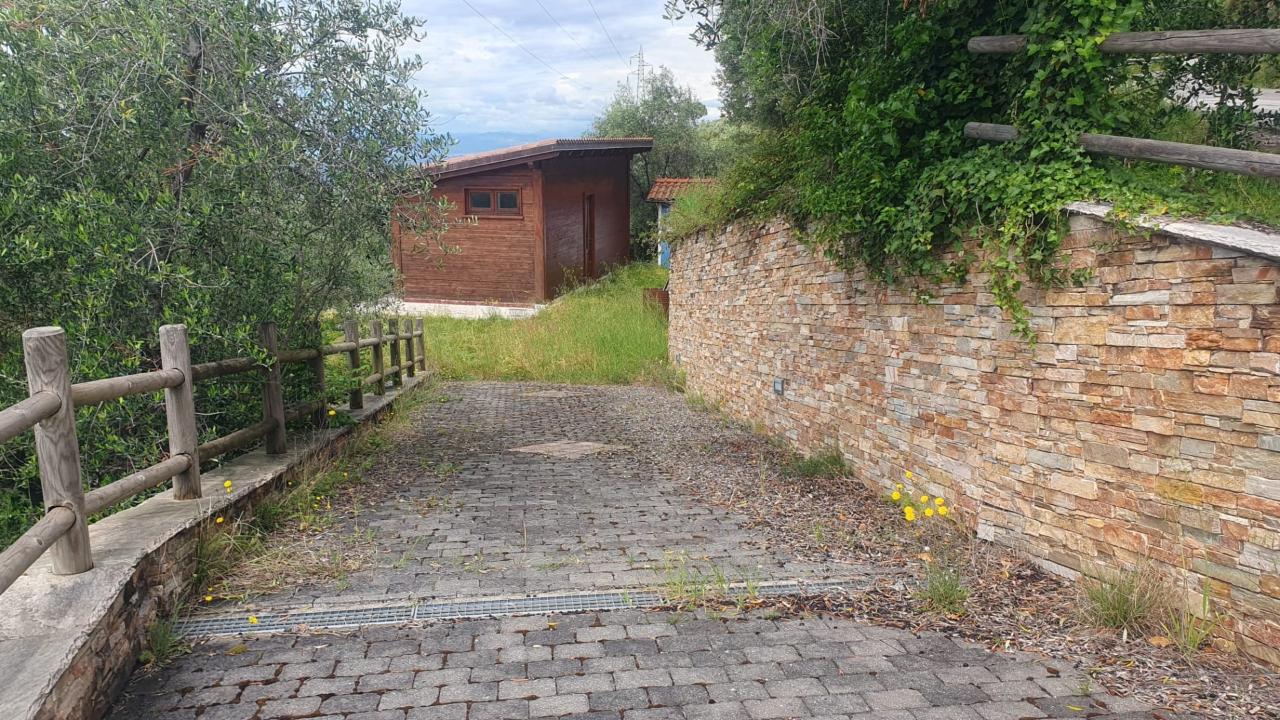 immagine annuncio 12 di 14