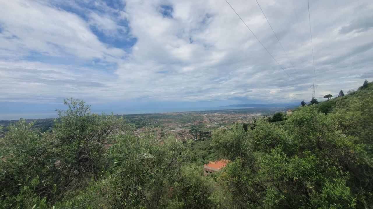 immagine annuncio 5 di 14