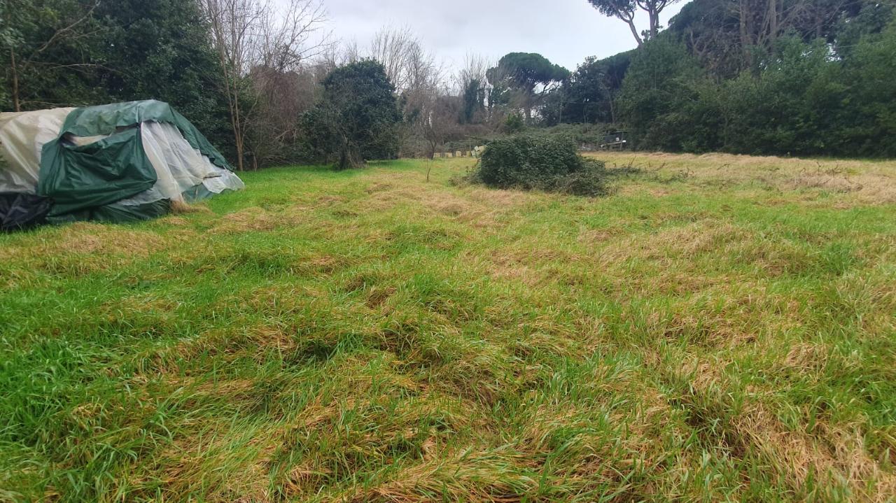 immagine annuncio 4 di 6