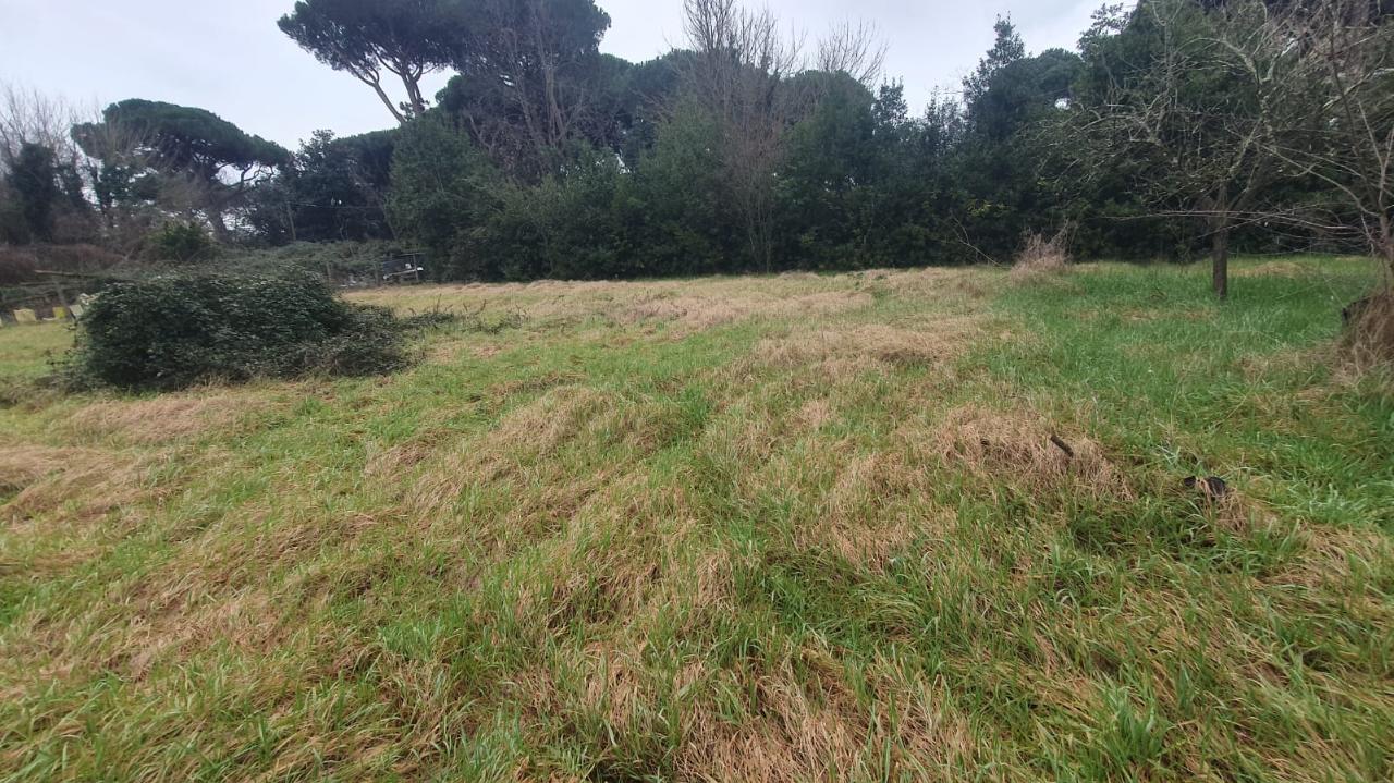 immagine annuncio 1 di 6