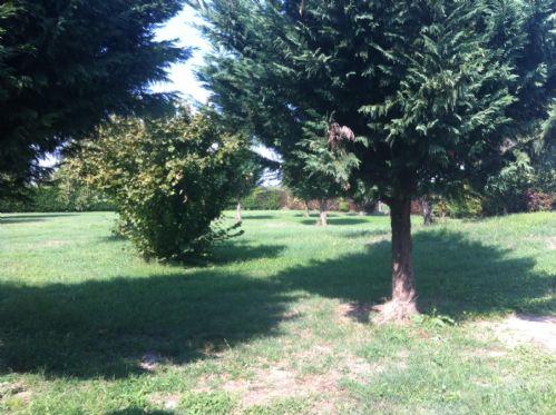 Country house or cottage in {3}, Tecnocarpi Piazzale Ramazzini 37/B - Photo 1