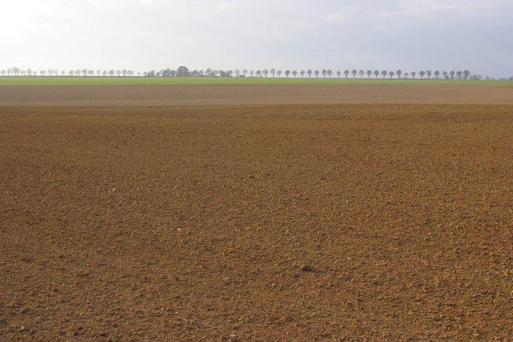 Terreno edificabile residenziale in vendita a San Possidonio