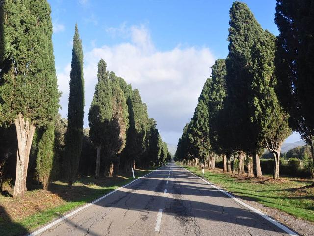 Trilocale in Piazza Bionda Maria, Castagneto Carducci - Foto 1