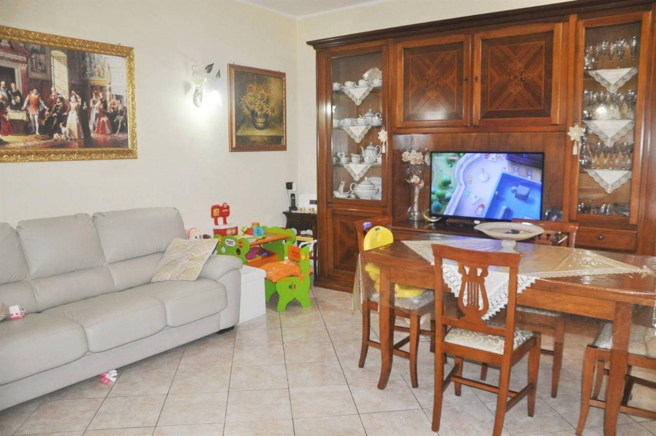immagine annuncio 1 di 14