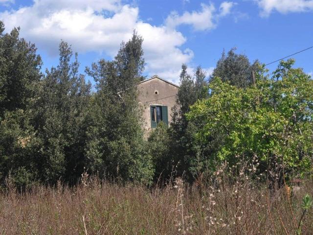 Country house or cottage in Stradone del Belvedere, Rosignano Marittimo - Photo 1