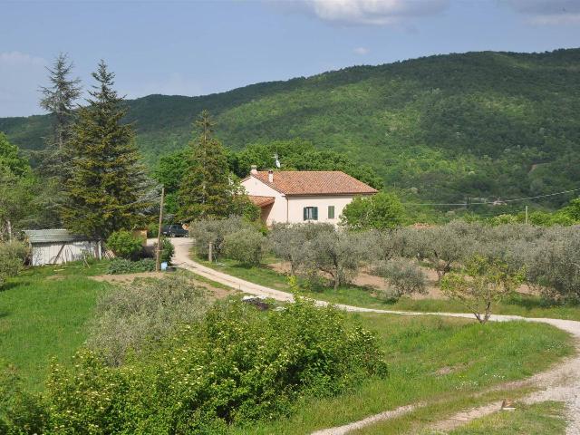 Country house or cottage in Strada Vicinale di Sant'Antonio, Castelnuovo di Val di Cecina - Photo 1