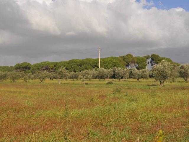 Villa in Stradone del Tripesce, Rosignano Marittimo - Foto 1