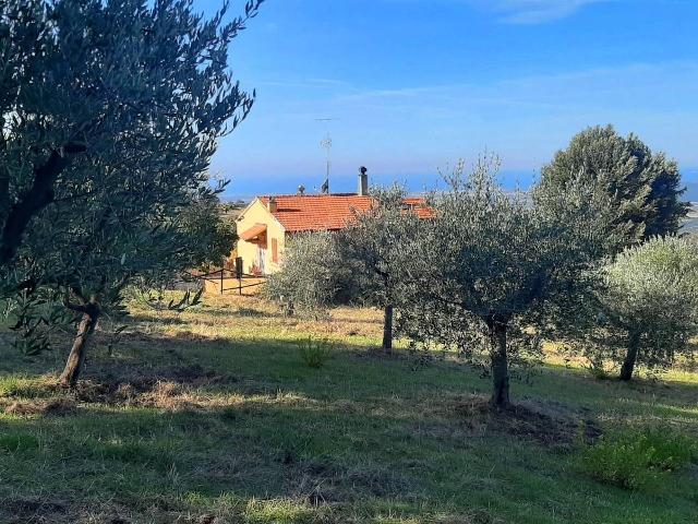 Country house or cottage in Via del Commercio, Castellina Marittima - Photo 1