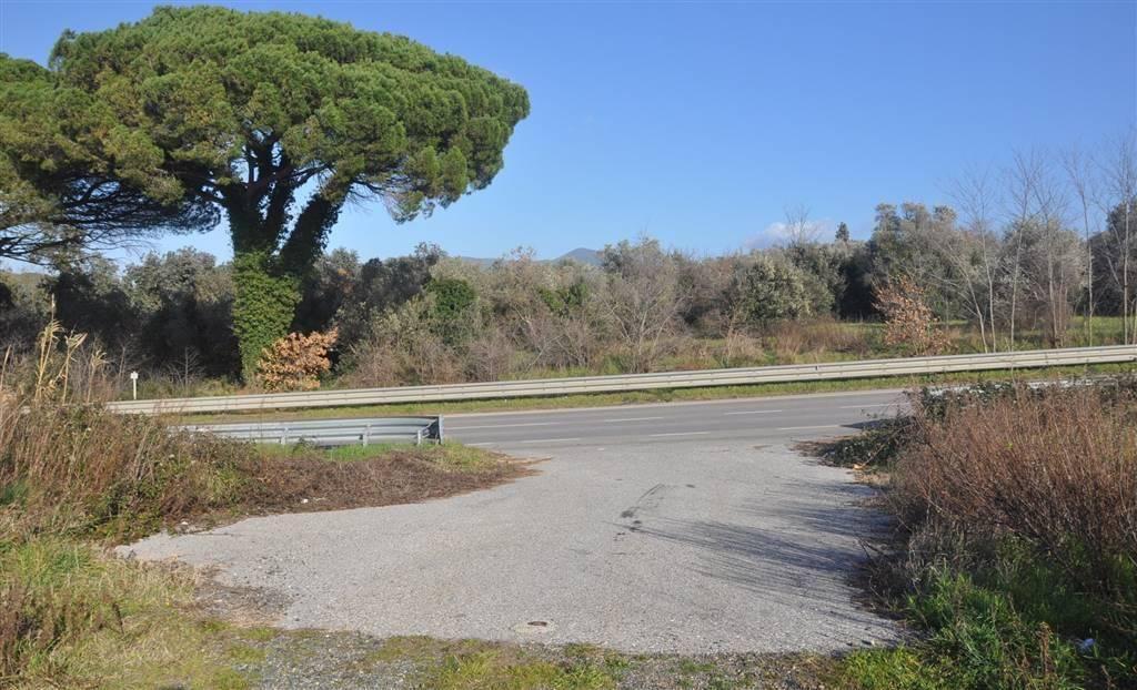 Terreno edificabile in vendita a Rosignano Marittimo