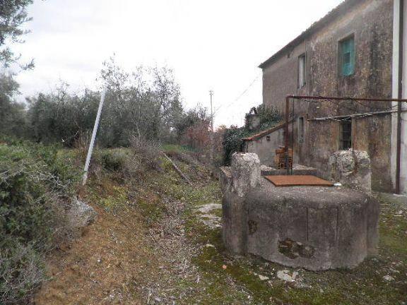 immagine annuncio 2 di 12