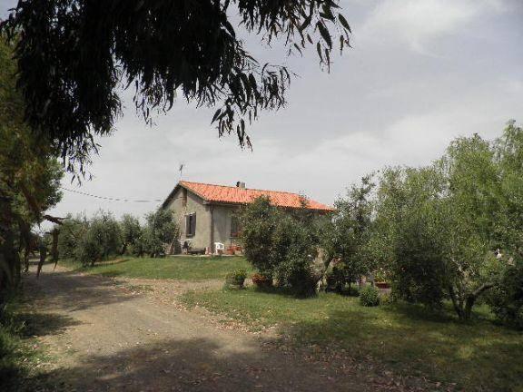 Country house or cottage, Cecina - Photo 1