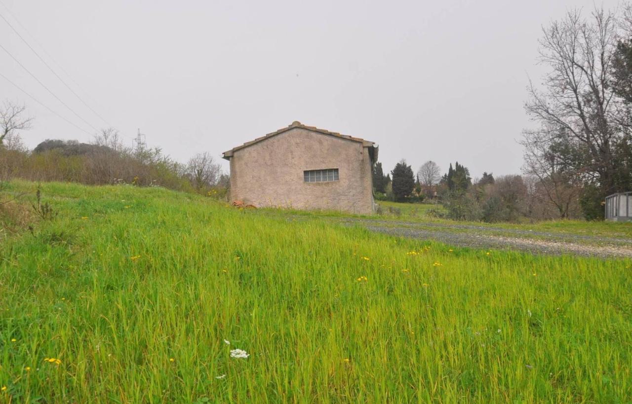 immagine annuncio 6 di 12