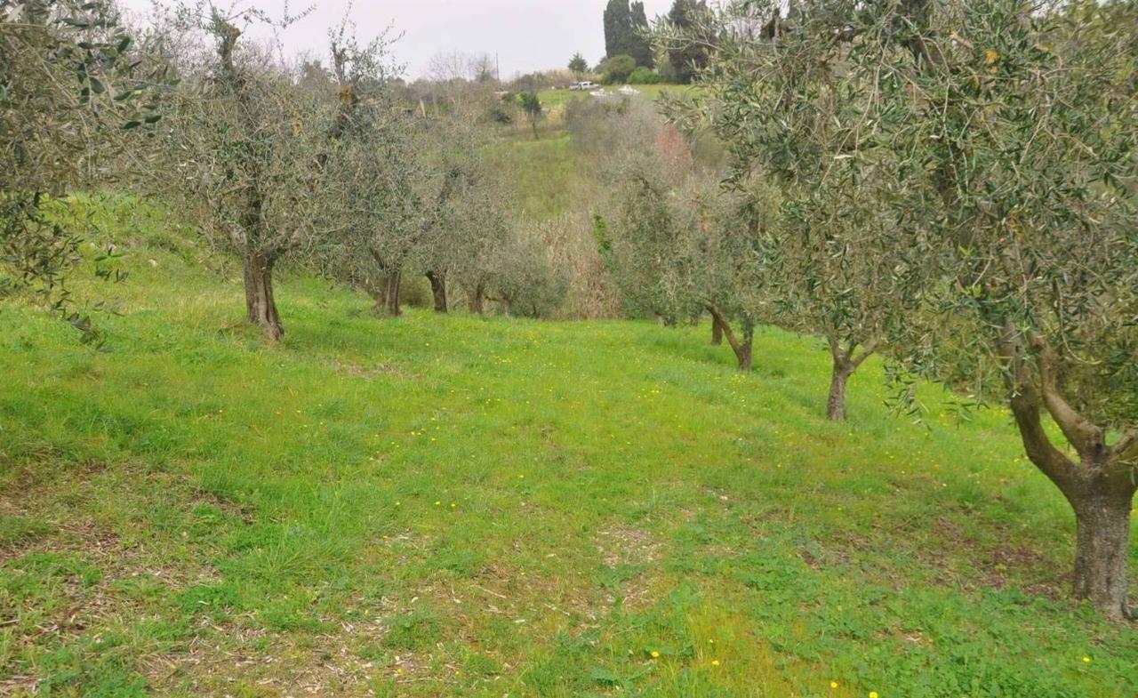 immagine annuncio 9 di 12