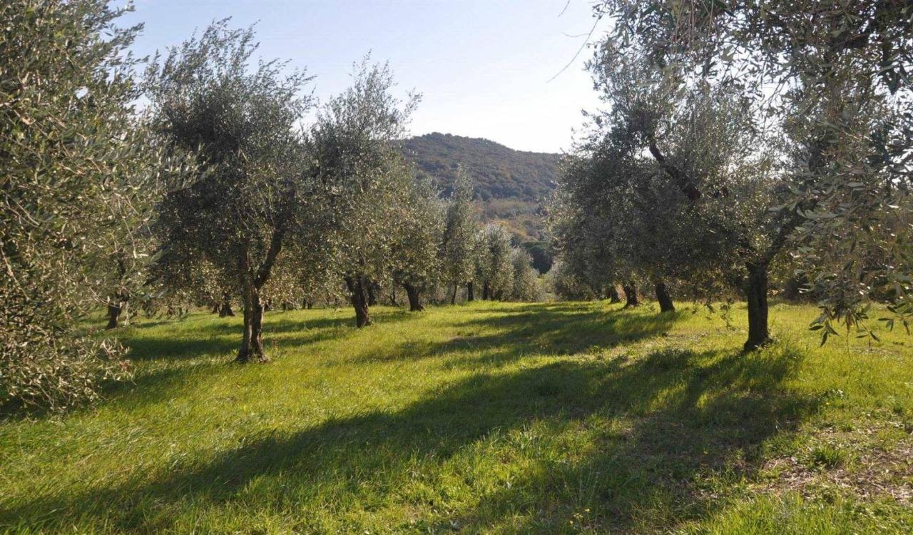 immagine annuncio 8 di 9