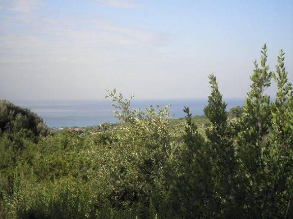 immagine annuncio 6 di 14
