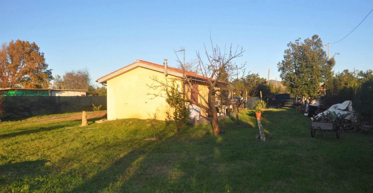 immagine annuncio 1 di 14