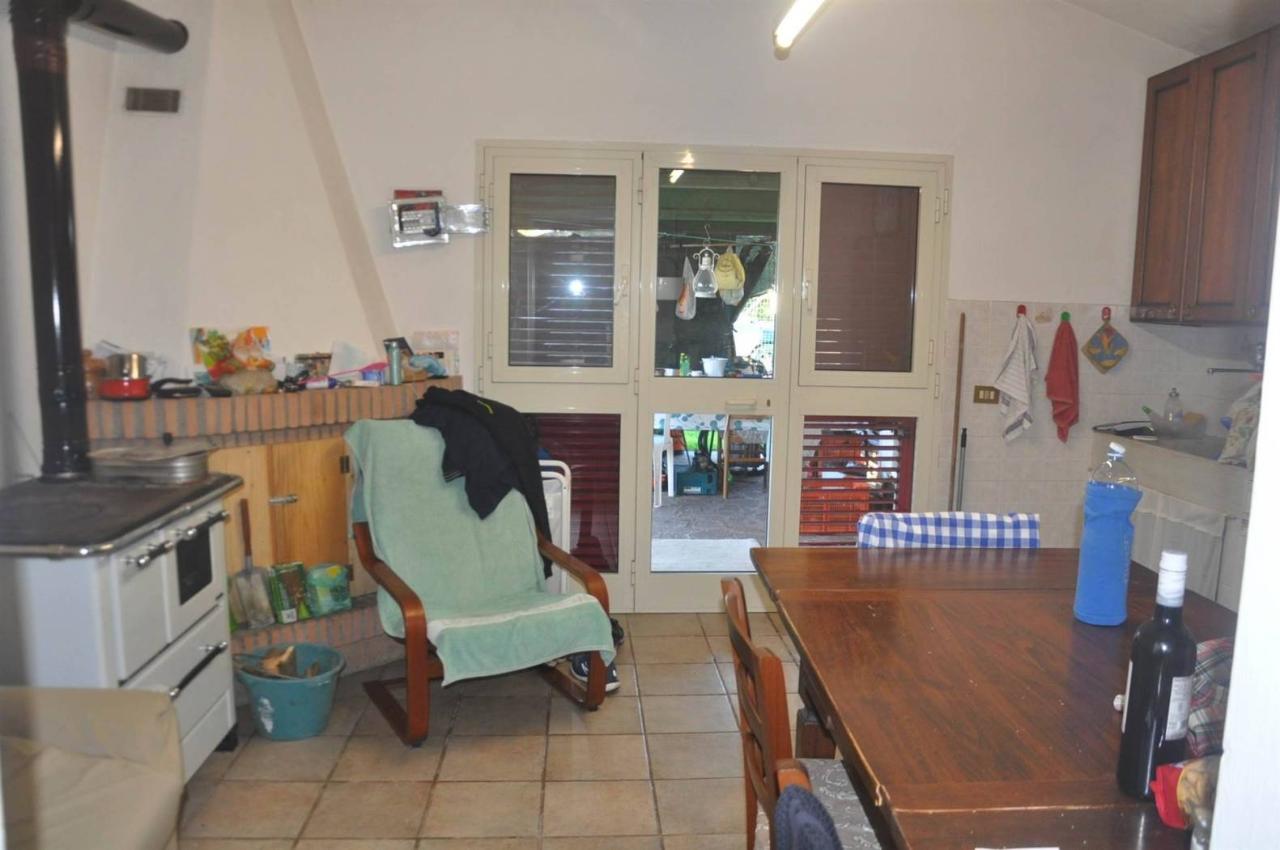 immagine annuncio 3 di 14