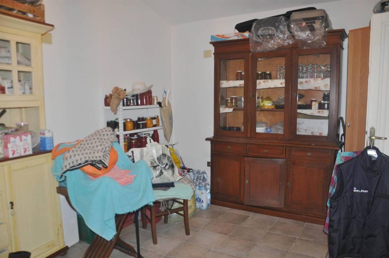 immagine annuncio 5 di 14