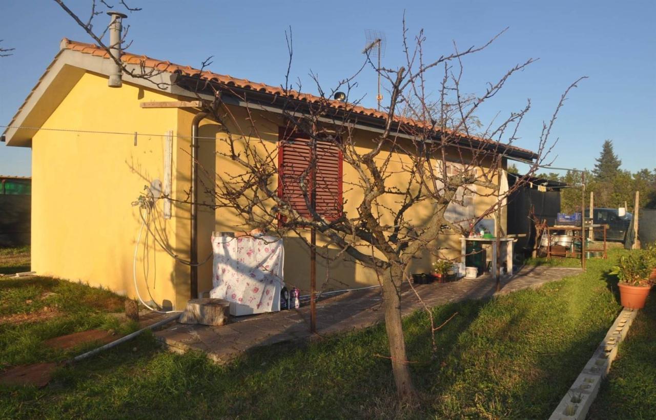 immagine annuncio 8 di 14