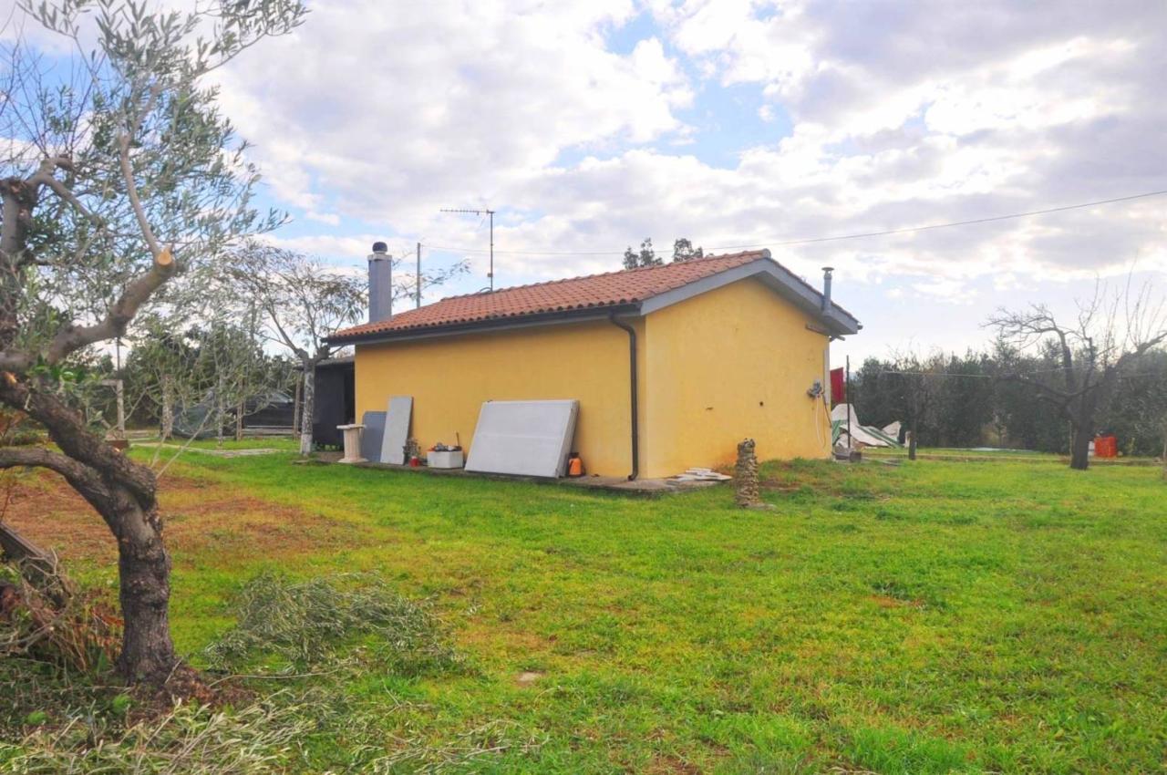 immagine annuncio 9 di 14