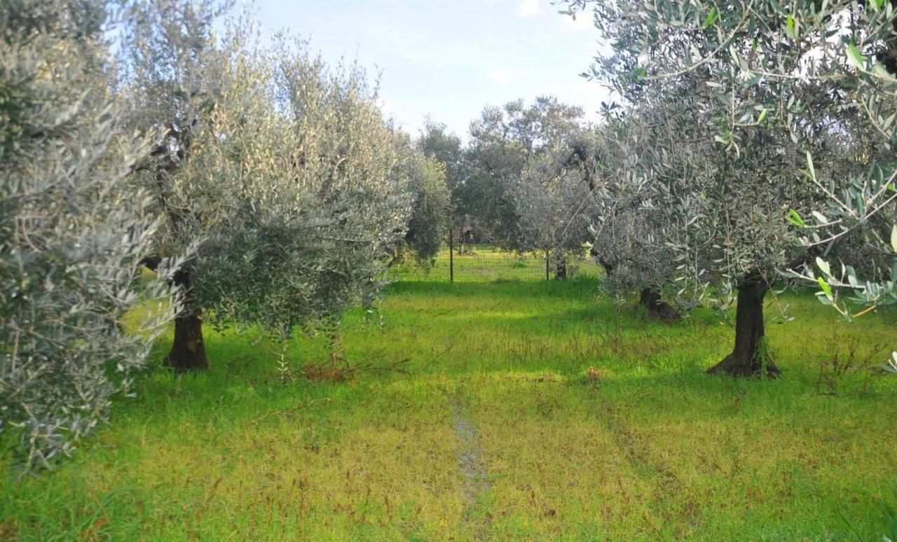 immagine annuncio 10 di 14