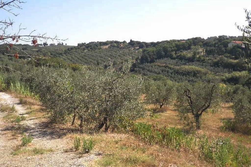 immagine annuncio 8 di 9