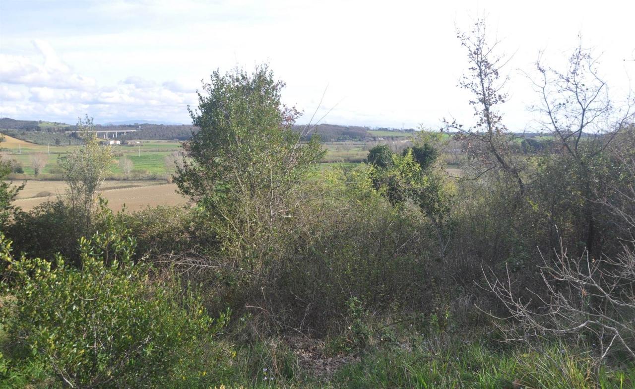 immagine annuncio 4 di 7