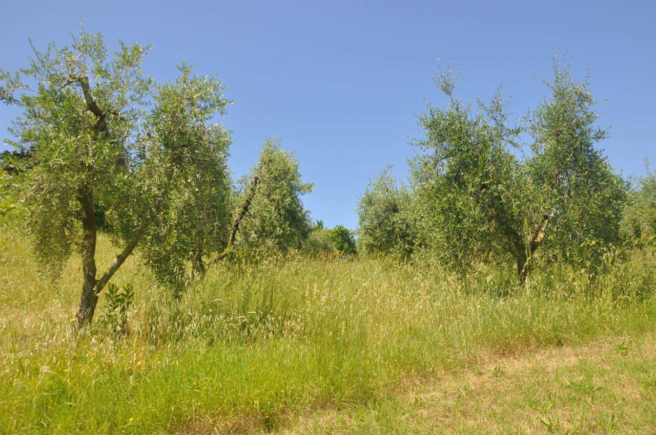 immagine annuncio 2 di 8