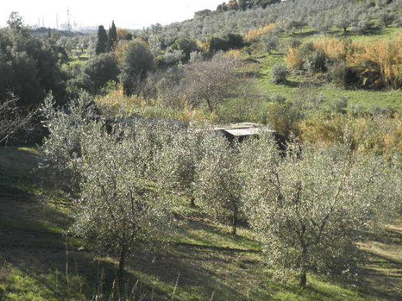 immagine annuncio 5 di 6