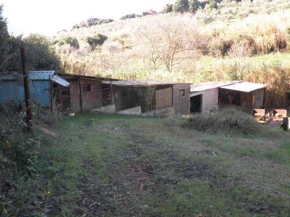 immagine annuncio 4 di 6