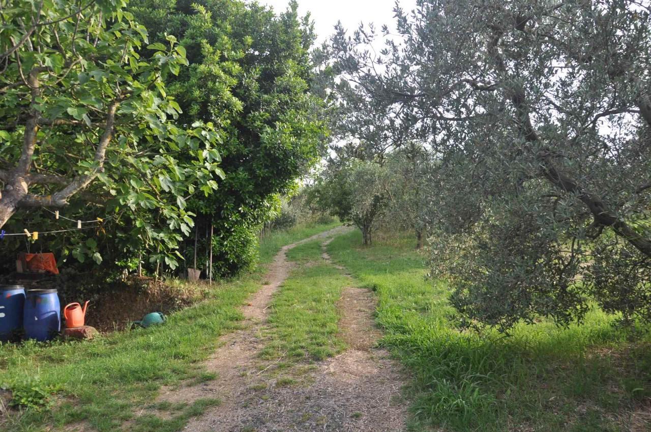 immagine annuncio 13 di 15