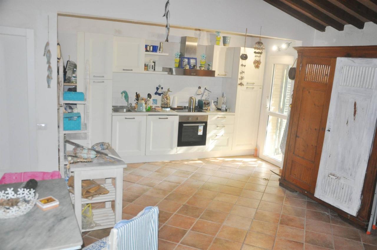 immagine annuncio 9 di 14