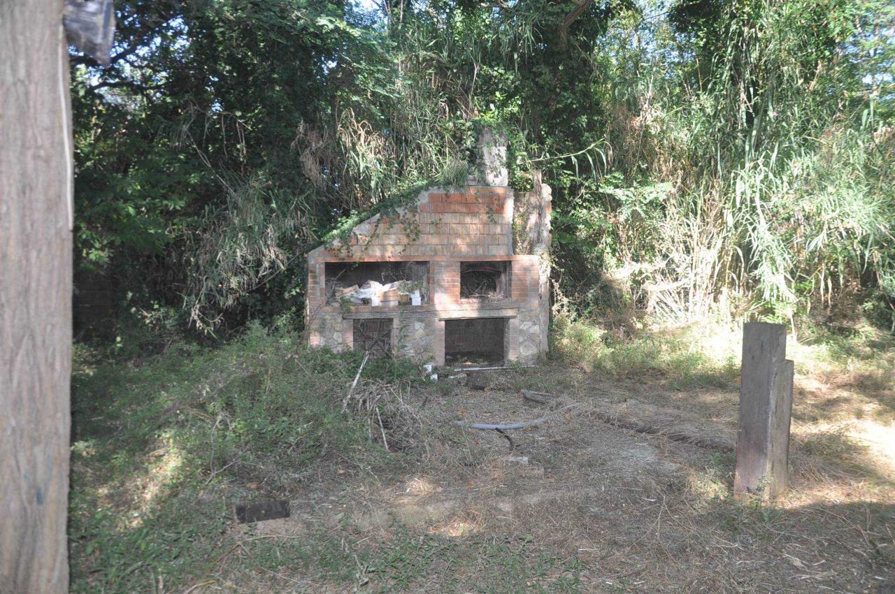 immagine annuncio 12 di 14