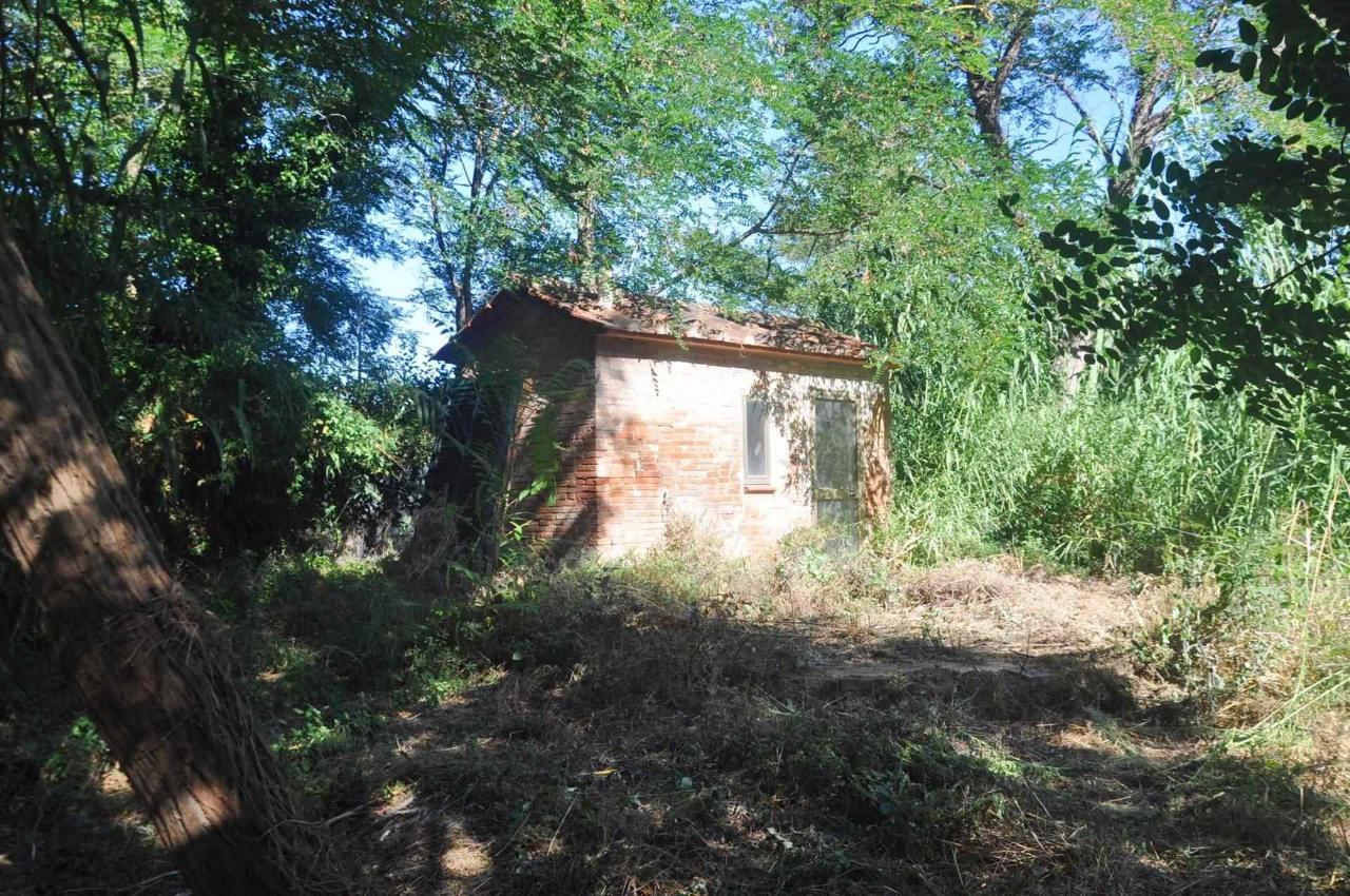 immagine annuncio 13 di 14