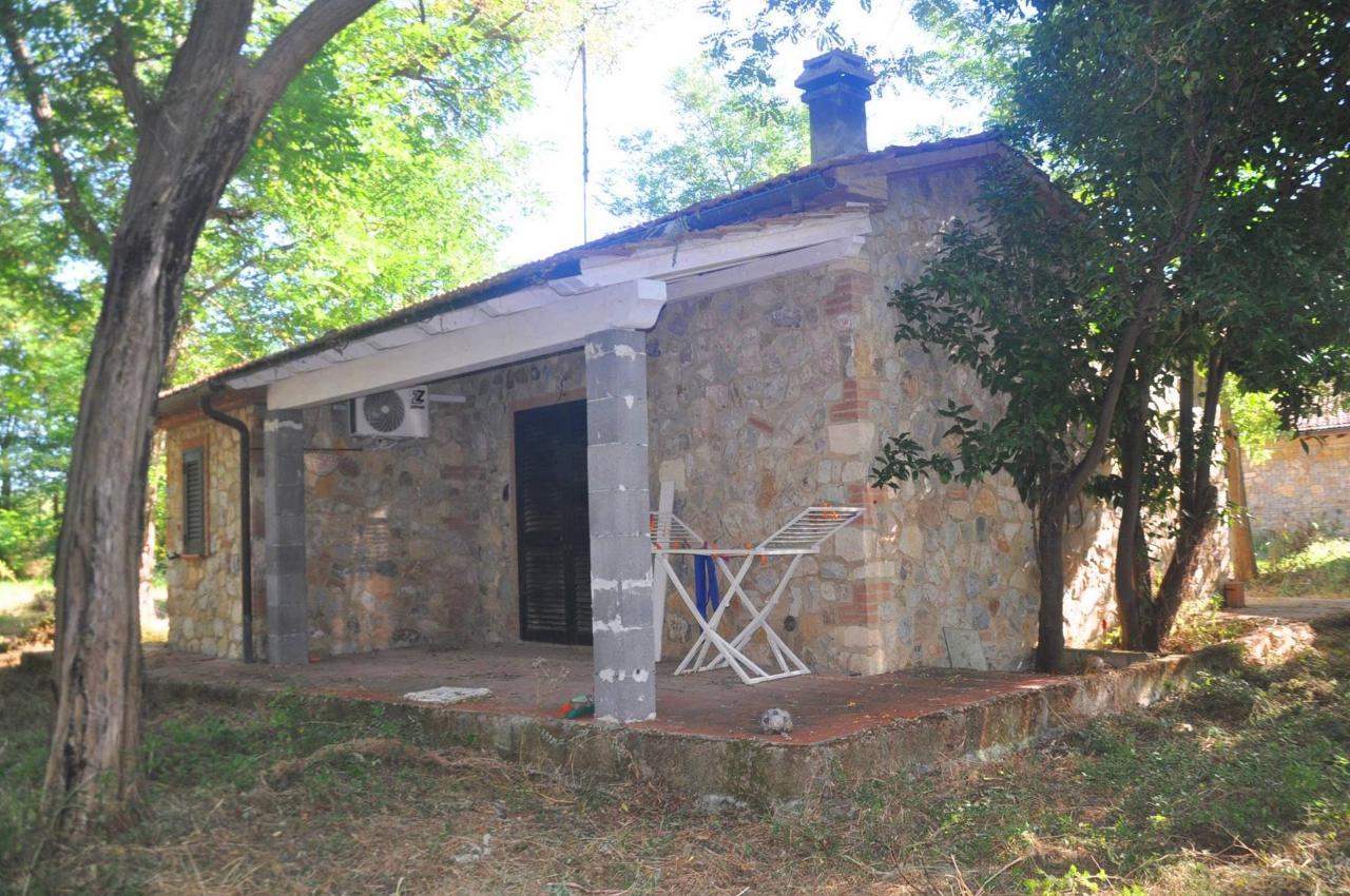 immagine annuncio 11 di 14