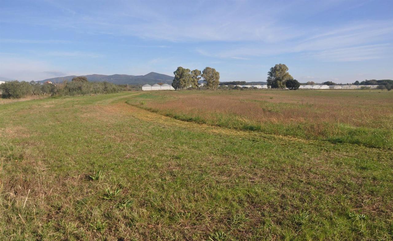 immagine annuncio 2 di 11