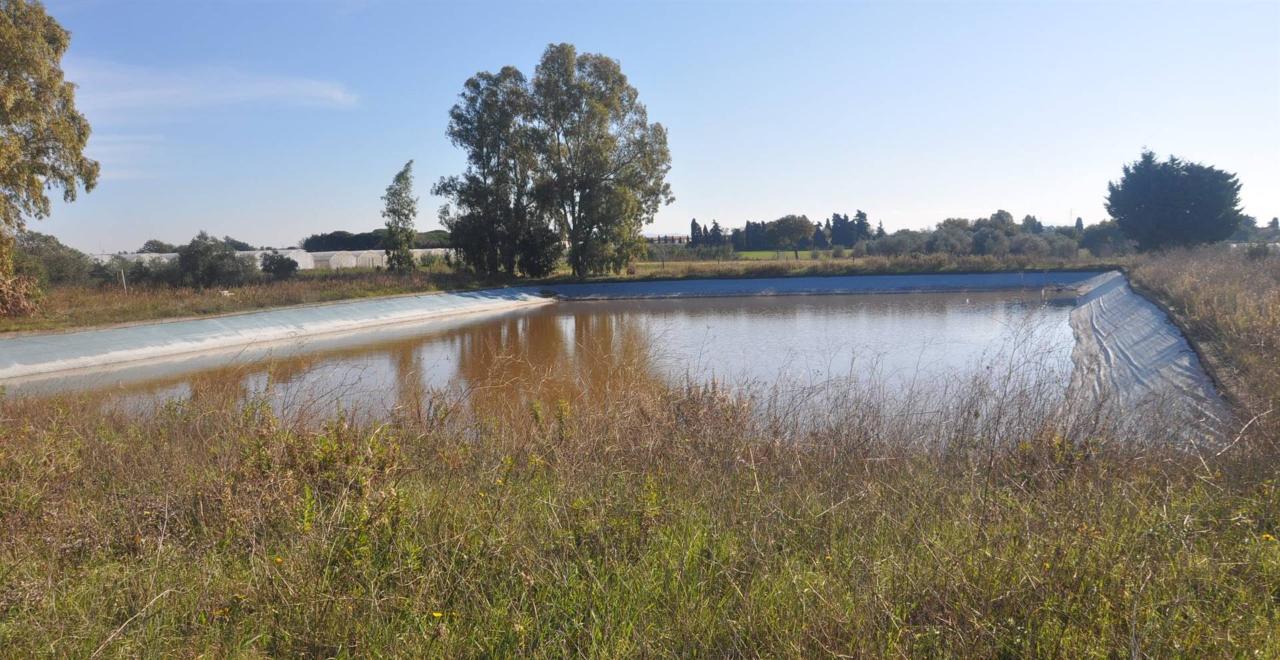 immagine annuncio 6 di 11