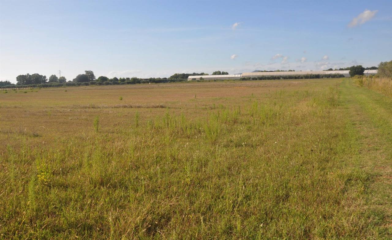 immagine annuncio 10 di 11