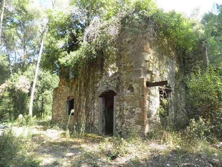 immagine annuncio 2 di 13